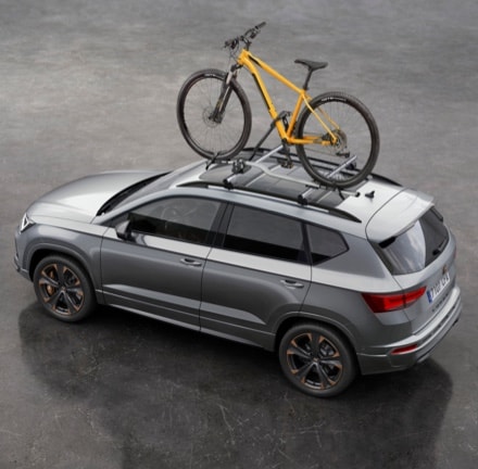 Specially created bike roof rack.